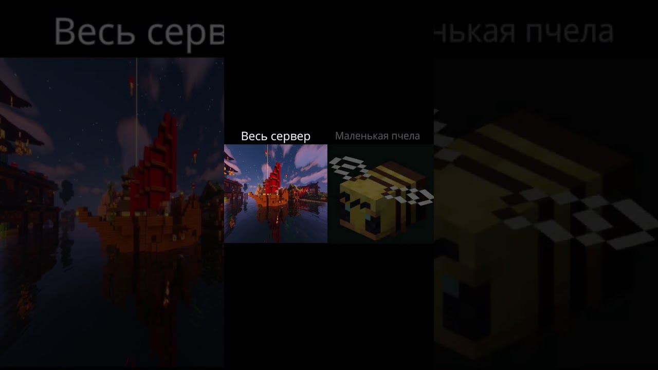 Самый легендарный мем (Eternity SMP)