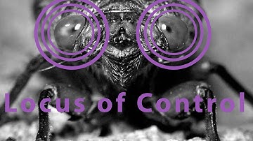Locus of Control - Psych Yogi