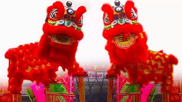 Múa Lân nhảy Mai Hoa Thung Hay Nhất / LSR Nhơn Nghĩa Đường lễ hội Kỳ Yên Đình Hưng Phú 2024 #mualan