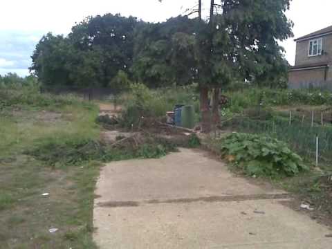 Jon The Builder - Tree Felling Down At Dormers Wells Allotments In Ealing