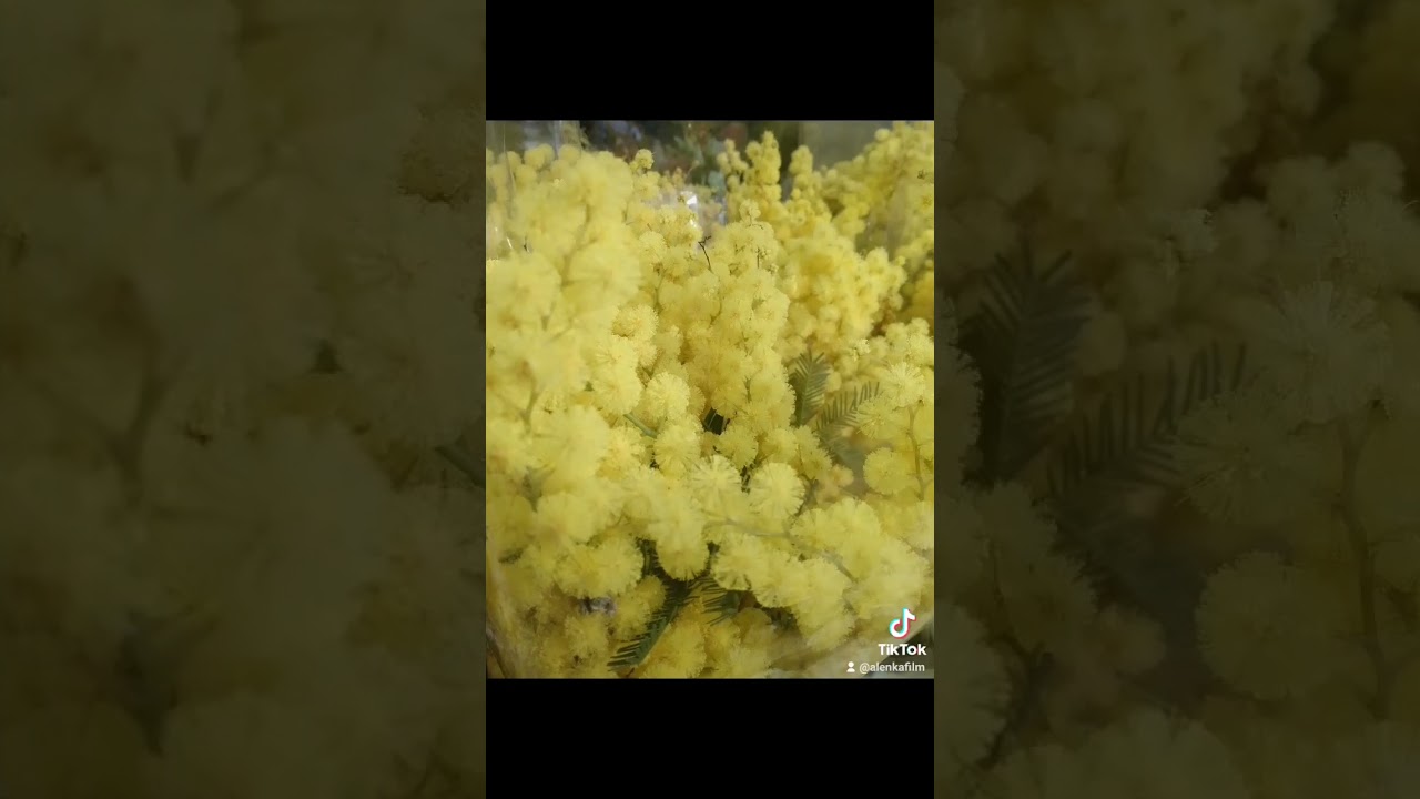 Цветы в подарок,;) 