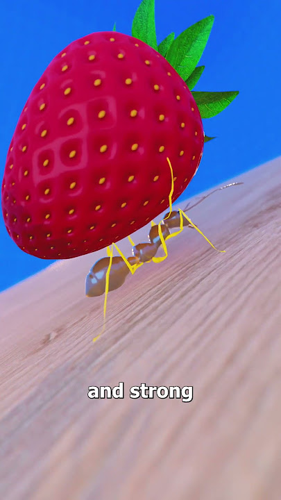 What If Humans Had The Strength Of Ants 😮