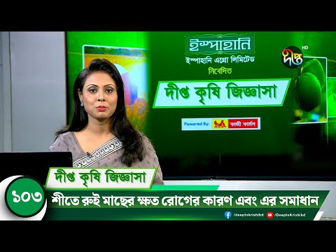 Deepto Krishi Jiggasha || শীতে রুই মাছের ক্ষত রোগের কারণ এবং এর সমাধান || Deepto Krishi