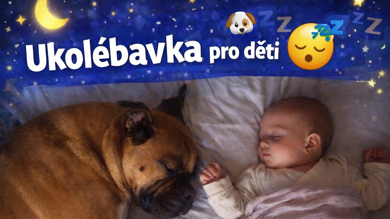 Ukolébavka pro děti 🐶💤 | Usínání se psem | Večerní rutina pro klidný spánek