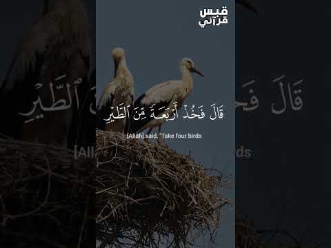 أداء نــادر لآيــة تـهـز القـلـوب بصوت عبـدالله أحـمد شـعبان  أداء نــادر لآيــة تـهـز القـلـوب بصوت عبـدالله أحـمد شـعبان