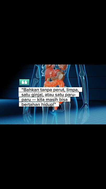 TANPA ORGAN INI MANUSIA MASIH BISA HIDUP!
