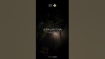 تلاوة تشرح الصدر | للشيخ محمد صديق #المنشاوي #قرآن_كريم