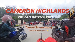 🏔️ CH 2024 | Tapau Strawberries 🍓 x Meleper Geli2 | ZIG ZAG BATTLES