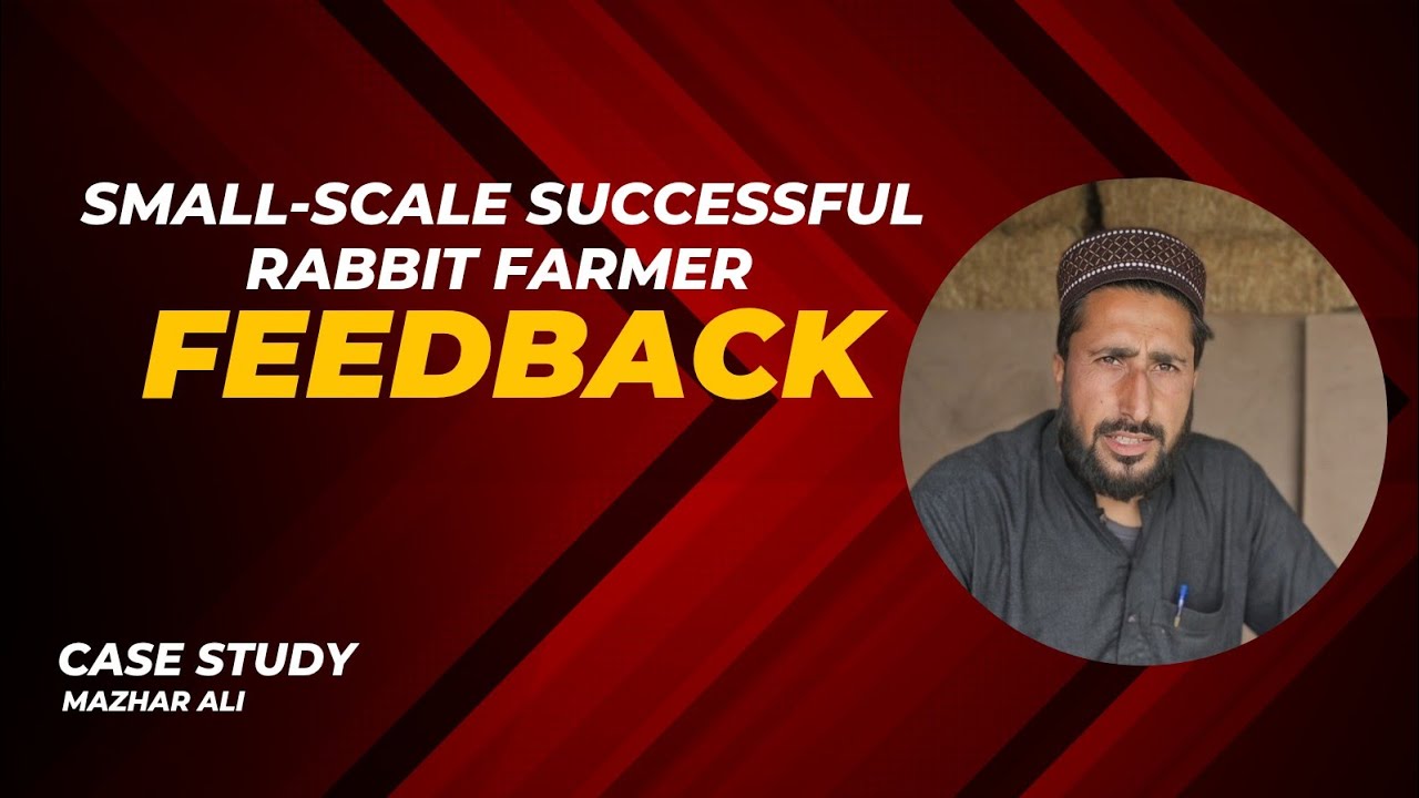Ali Mehar Rabbit How Mazhar Ali Started His Small-Scale Rabbit Farming Journey || مظہر ...