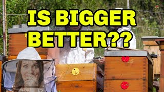 Beekeeping Can Make You Do Crazy Things, Like Go Too Big Too Fast