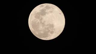 Experiment moon hd | Canon 80d camera with 75-300 lens zoom test | moon zoom test