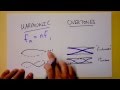 Standing Wave Harmonics or Overtones...what&#39;s the difference? | Doc Physics