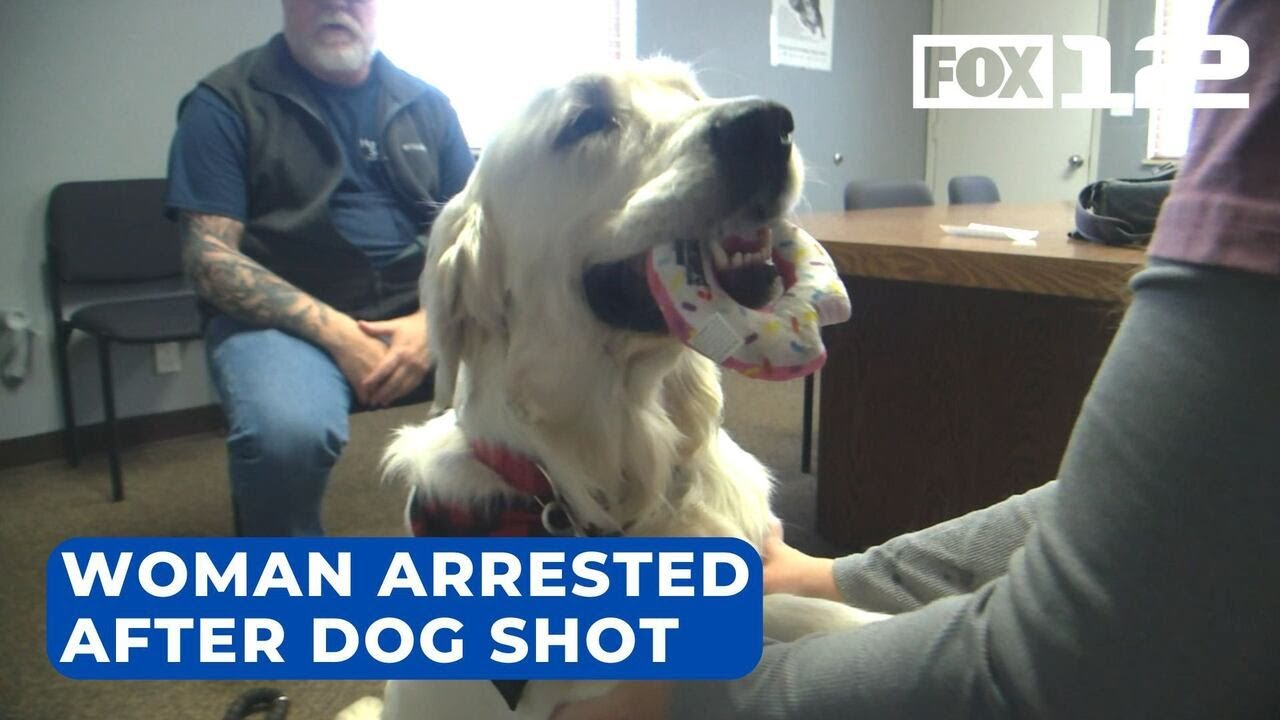 Arrest made 4 months after dog found shot in head in Cowlitz County ...