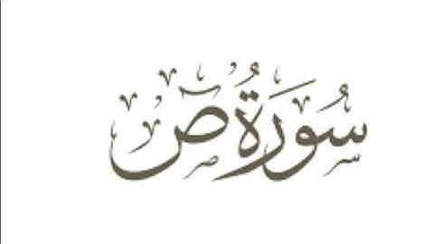 سورة ص إن هذا أخي له تسع وتسعون نعجة سعود الشريم