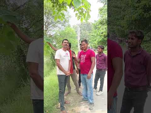 वीडियो पसंद आए तो लाइक 👍 कमेंट आपका प्यार ही हमारी ताकत है  #ViralVideo #Trending #Shorts #Support