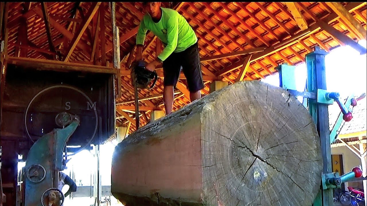 wood monsters spoil everything sawmills in action YouTube