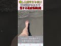 【楽しいだけじゃない】海水浴がもたらす驚きの健康効果5選 #海水浴 #デトックス #アーシング