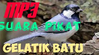 Download lagu MP3 PANCINGAN/PIKAT BURUNG GELATIK DI ALAM LIAR_DI JAMIN BANYAK YANG MASUK PERANGKAP