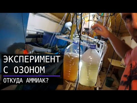 Эксперимент с озоном. Очистка грязной воды. Тесты и сравнение.