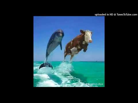 darkromuald type beat