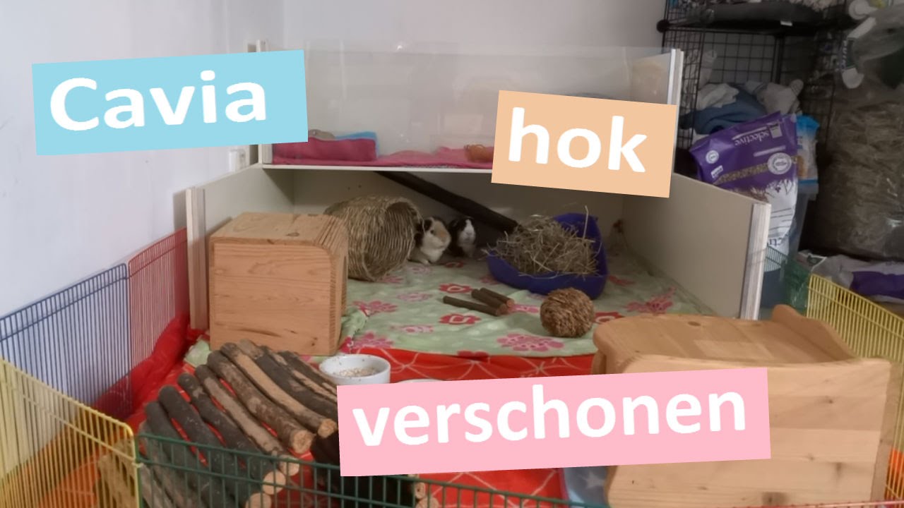 Caviahok verschonen // Fleece