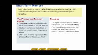 Stages of Memory 3