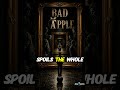 Bad Apple Teaser | Dark Country | Jin Eks