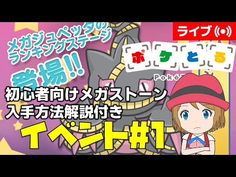 [2025/1/7]ポケとる更新日配信 メガジュペッタランキング初心者向け解説付き（ループ16周目EV#1） #shorts