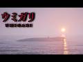 謎ばかりの海で魚を獲るホラーゲーム #最終回 【UMIGARI|ウミガリ】