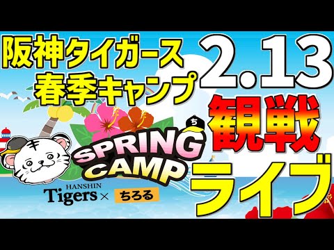 【 阪神タイガース 宜野座キャンプ 生中継 阪神ファン集合 】 2/13 阪神タイガース 春季キャンプ 2024 一緒に観戦 #阪神ライブ #タイガースライブ #ライブ ＃阪神キャンプ #宜野座ライブ