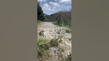 سورة الاحزاب أحمد العجمي #quran
