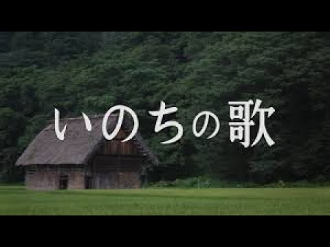 いのちの歌 - 作詞:Miyabi(竹内まりや),作曲:村松崇継
