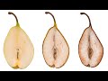 Dried Pear Time Lapse: The process of drying pears