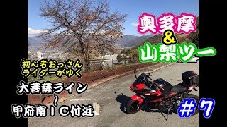 【2018 ninja250】奥多摩＆山梨ツー ＃７ 大菩薩ライン～甲府南ＩＣ付近　初心者おっさんライダーがゆく【モトブログ】