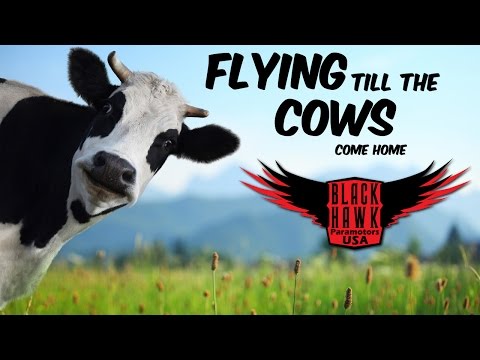 Your Very Own Flying Machine Video