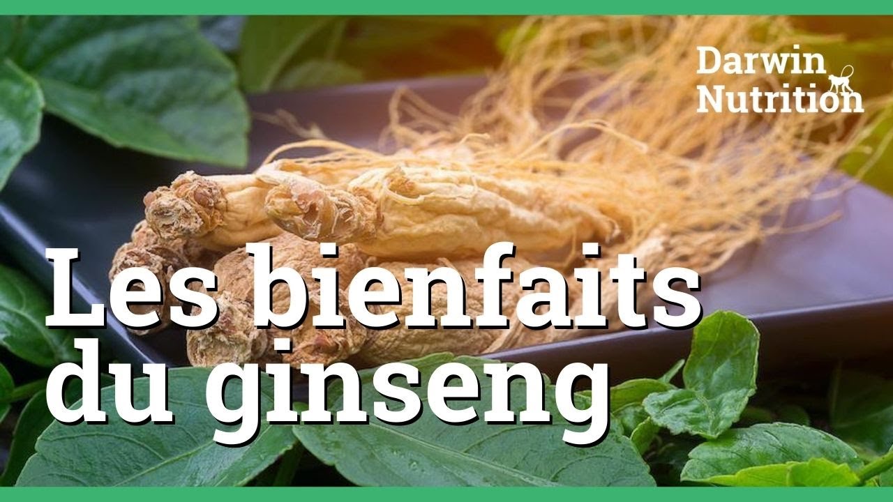 Découvrez tous les bienfaits du ginseng YouTube