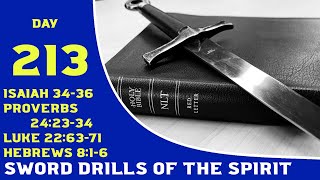 SDOTS Day 213: Isaiah, Proverbs, Luke, Hebrews