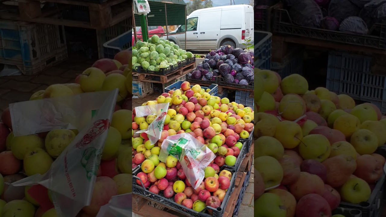 محلات الخضار والفواكه في قبرص التركية . مجموعة الياسين لخدمات الطلاب