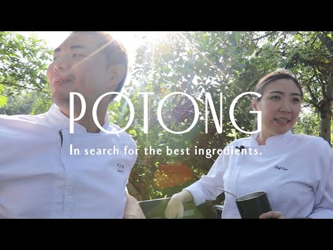 Restaurant POTONG: In search for the best ingredients | Corn |