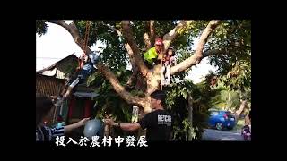 1071230 第一場攀樹課程