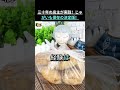 じゃがいもの芽がすぐ出る人、実は保存方法が間違っています！
