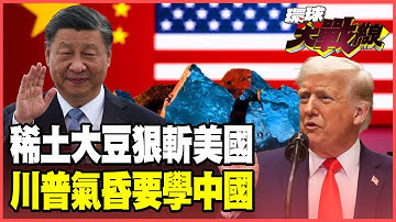 習近平稀土、大豆雙殺 民心所向硬剛到底！川普打不贏就抄中 美國特色資本主義「揮刀自宮」【#環球大戰線】20251017-P1 葉思敏 張延廷 聶建中 楊永明 栗正傑