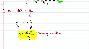 Utility Maximization Theoretical and Mathematical Example (Cobb Douglas Function)