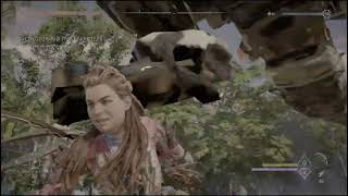 Horizon Zero Dawn - Bugs & Glitches