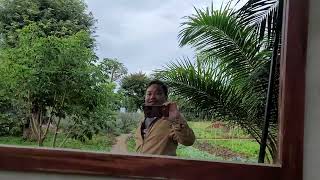 Ghé Paksong Farmstay thăm quan đặt phòng thấy ổn chứ mọi người | Rừng Biển TV | QUÁN Túp Lều TV