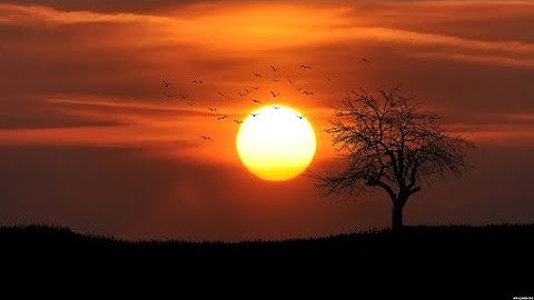 SSO MEP! || OPEN || Song: Demons - Imagine Dragons || READ DESC || 7/11 parts taken!