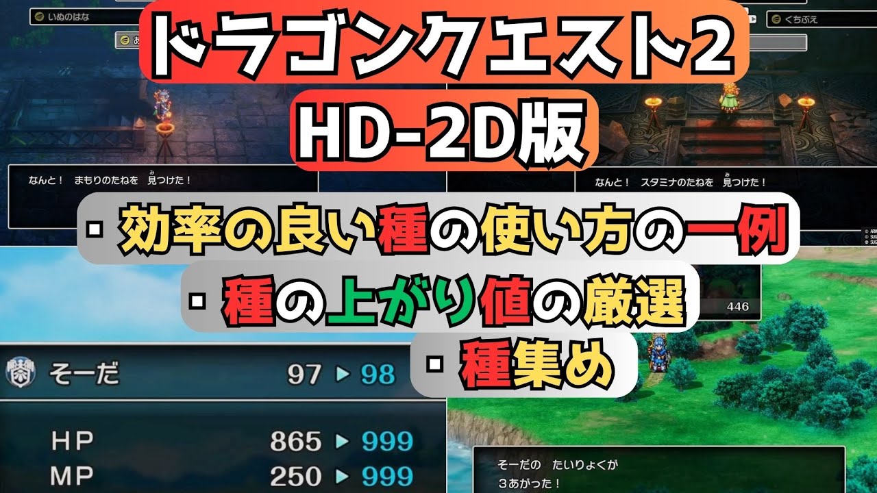 「効率の良い種の使い方の一例」 「種の上がり値の厳選」 「種集め」 HD-2D版 『ドラゴンクエストI＆II』 「ネタバレあり」