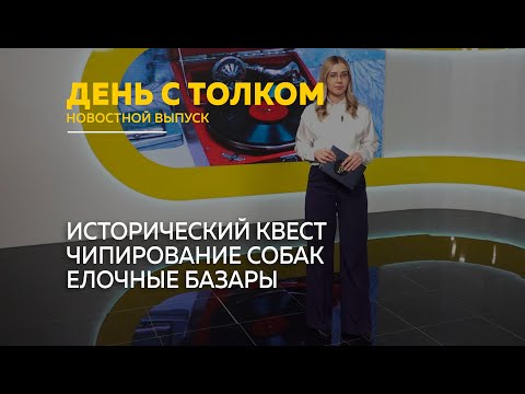 День с Толком 11.12.2024