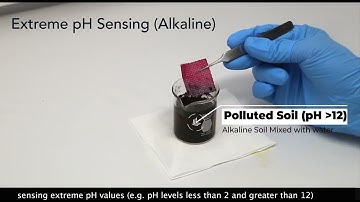 HoloChemie - Sustainable Fabrication of Soft Biochemical Holographic Devices for Ubiquitous Sensing