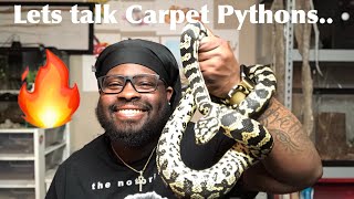 Let's talk Carpet Pythons...